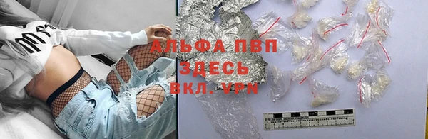 стафф Алзамай
