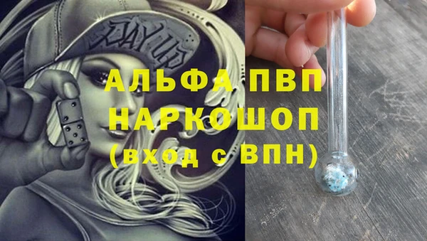 стафф Алзамай