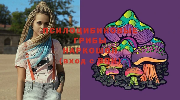 МДПВ Алексин