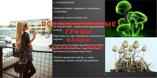синтетический гашиш Алексеевка