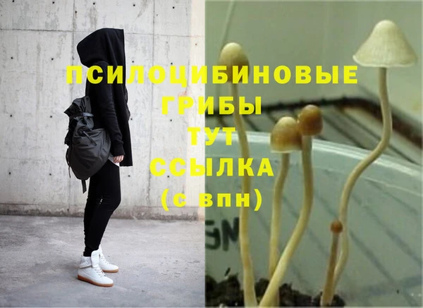 МДПВ Алексин