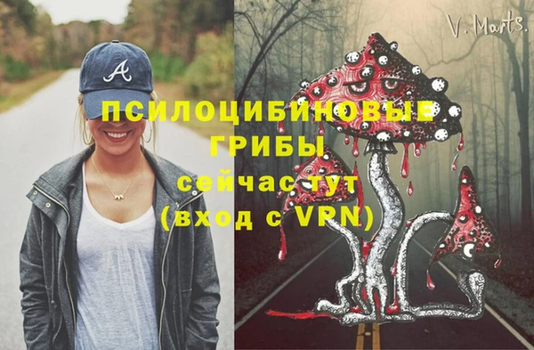 МДПВ Алексин