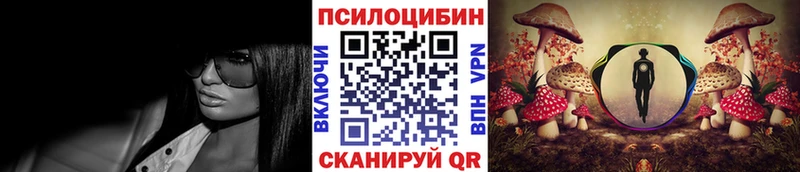 OMG вход  Навашино  Галлюциногенные грибы прущие грибы 