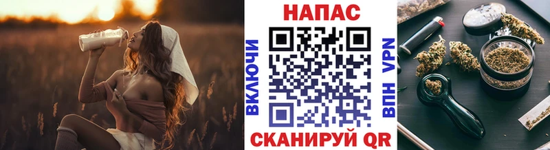 ОМГ ОМГ онион  как найти наркотики  Навашино  Шишки марихуана SATIVA & INDICA 